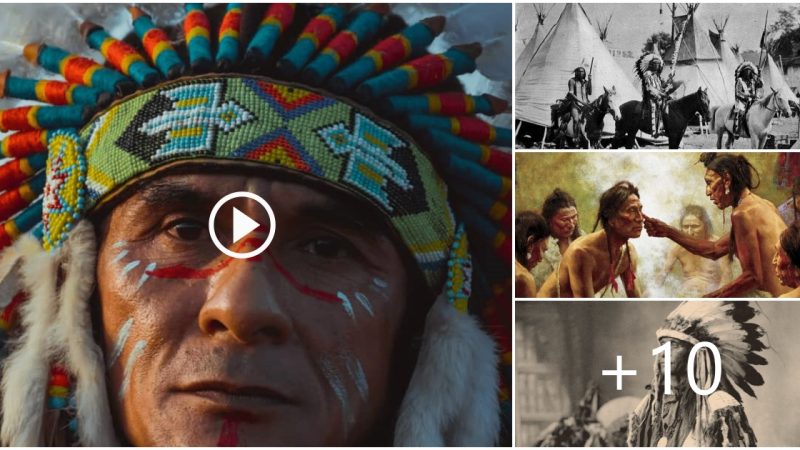 Indigenous Peoples of the Americas: History, Culture & Law.
