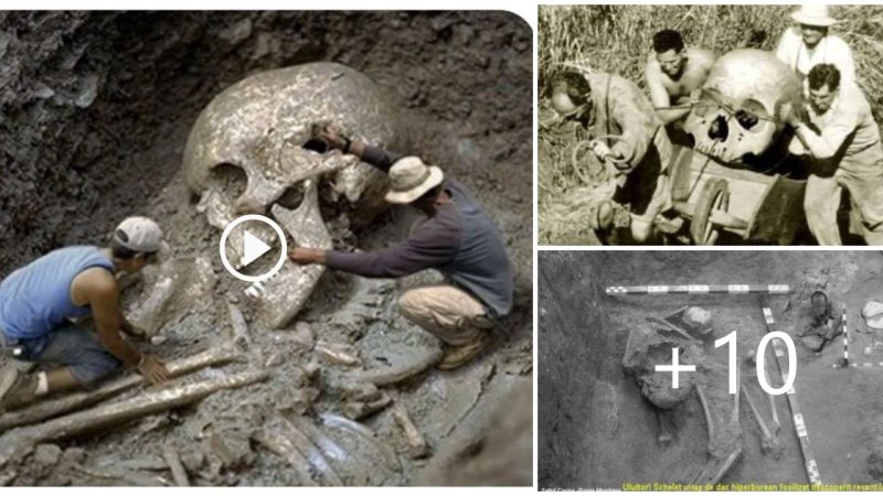 Excavating the tomb of a 5,500-year-old Giant 20m high in Romania yields amazing results