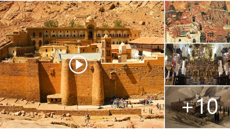 Saint Catherine Greek Orthodox Monastery at Sinai/Egypt holds a staggering record