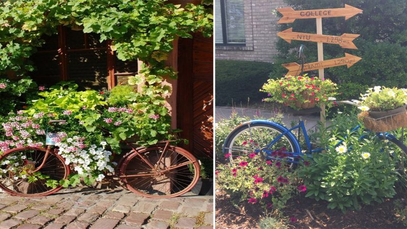 The Perfect Pair: A Garden and Bicycle in Harmony