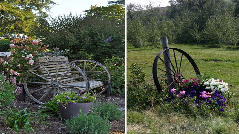 The Harmonious Dance: Exploring the Garden and Wheel