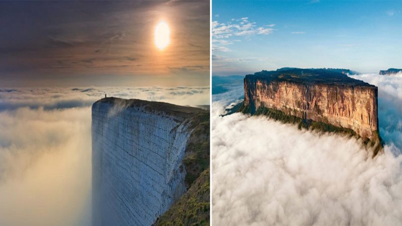 Mount Roraima (Venezuela) formed 2 billion years ago is really a “lost world” and completely isolated from the rest. Things don’t seem to have changed much in the last millions of years.