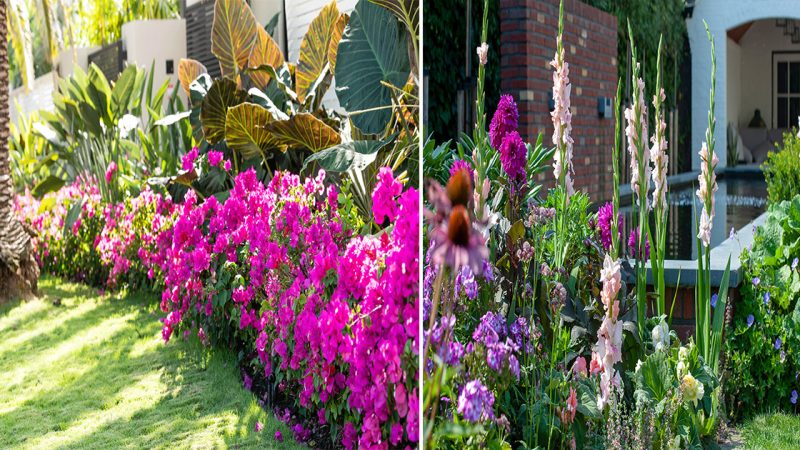 The Top Flower Bed Ideas: Enhancing Your Garden with Stunning Floral Displays