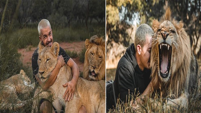 A Swiss Financier’s Extraordinary Journey: Living Among Ferocious Lions in South Africa’s Wilderness