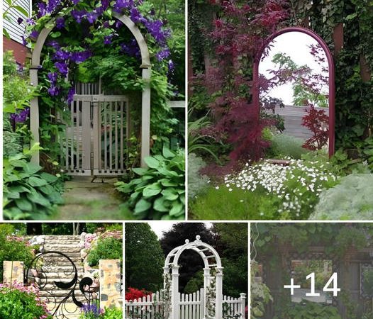 14 Simple But Attractive Garden Doors And Garden Mirrors