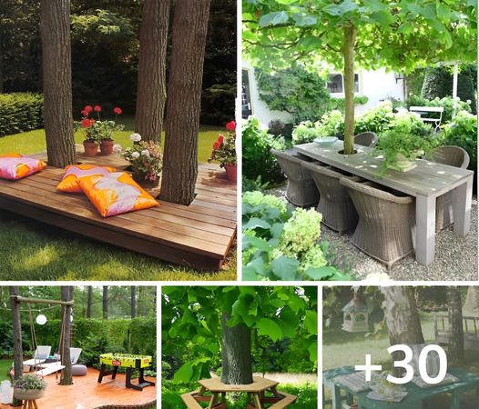 Explore the Finest Concepts for Garden Bench Inspiration