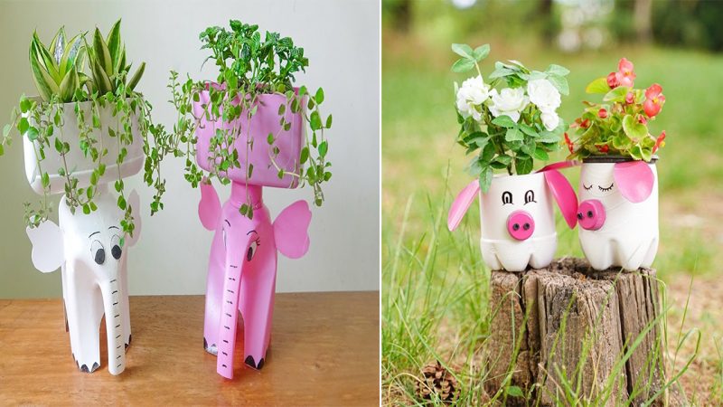 Transforming a Plastic Bottle into Stunning Flower Pots: Unveiling Brilliant Recycling Ideas