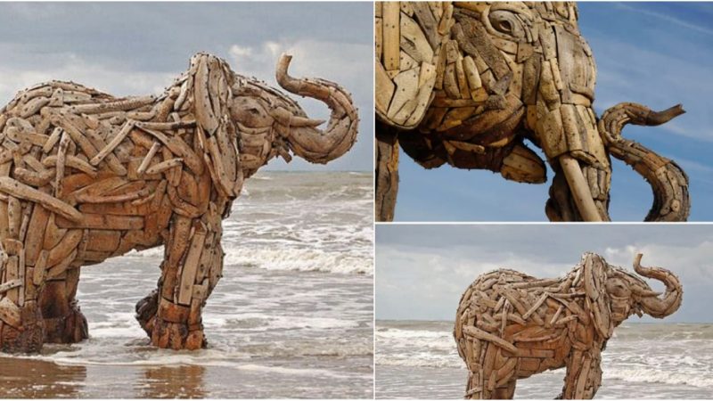 Captivating Driftwood Art: Mesmerizing Elephant Sculptures to Enthrall Your Senses