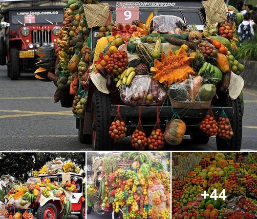 Discovering the Wonders of Handcrafted Fruit Trucks: An Expedition into Nature’s Abundance and Beauty