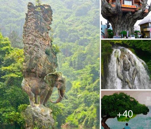 Unveiling Legends: Enormous Rock Formations Resembling Animals and People Discovered