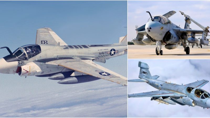 Conquering the Skies: The Enduring Legacy of the EA-6B Prowler
