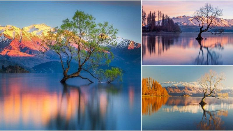 Lake Wanaka: A Stunning Natural Gem in New Zealand’s Otago Region