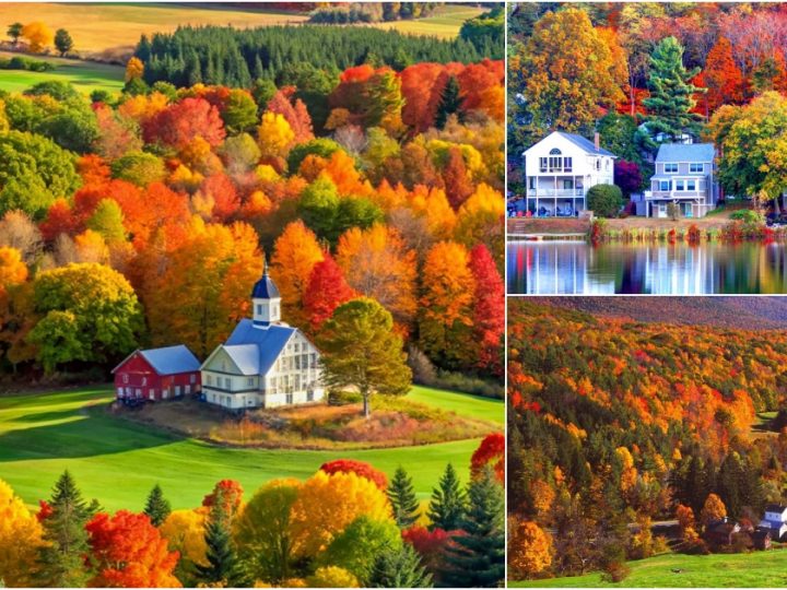 Vibrant Autumn Leaves in the Panoramic New England Forest 🧡