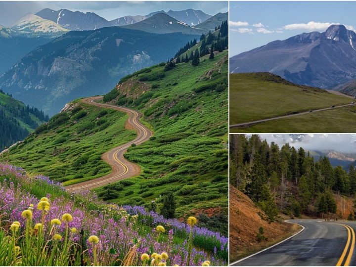 Exploring the Majestic Trail Ridge Road: Colorado’s Scenic Alpine Journey 🌲