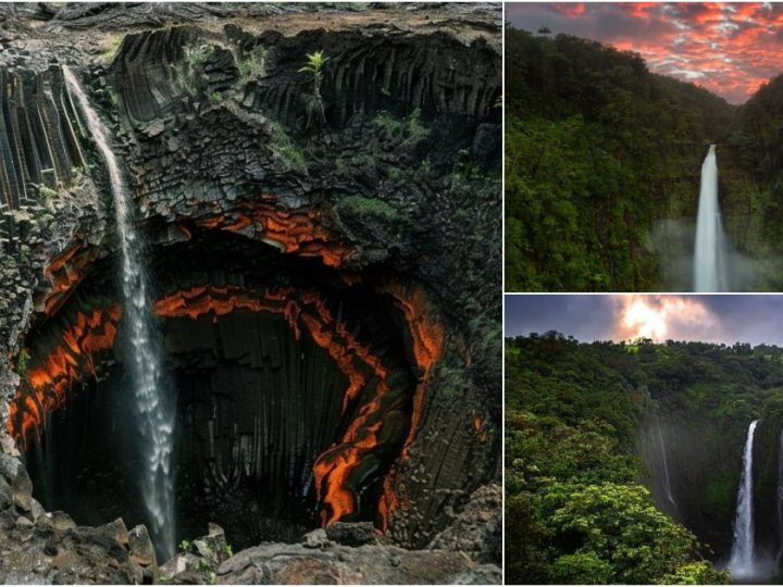 Akaka Falls: Majestic Waterfall in Hawaii’s Tropical Paradise