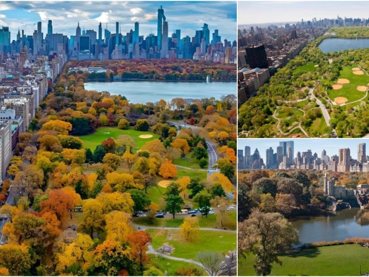 Central Park, New York: A Green Oasis in the Heart of the City