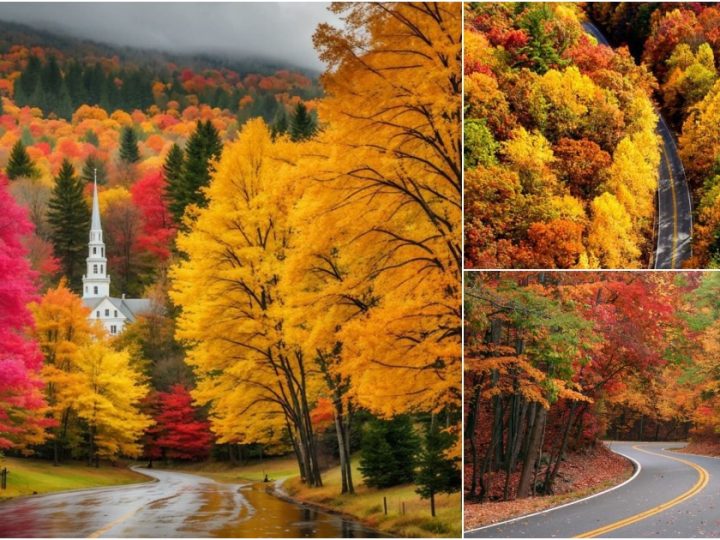 Beautiful View of Autumn in Georgia 🍂